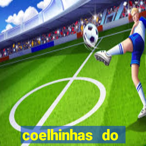 coelhinhas do brasil acompanhantes